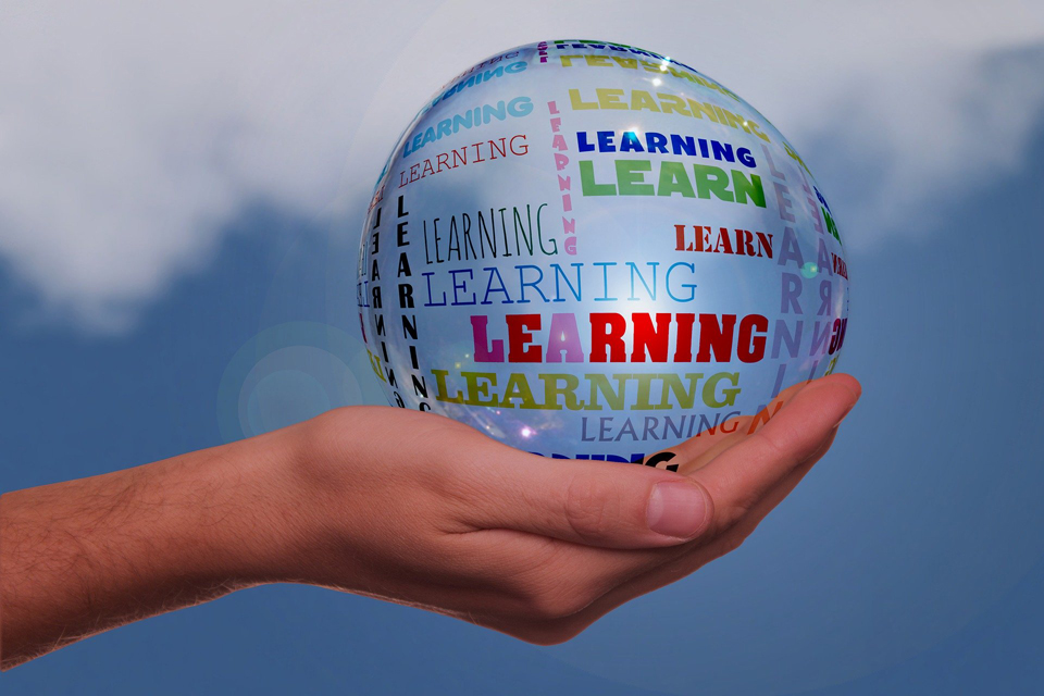 Tutoring – Ally Learning